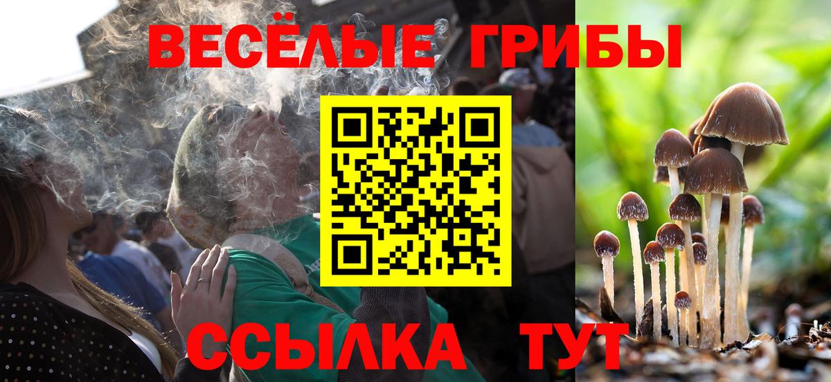 Галлюциногенные грибы GOLDEN TEACHER Прокопьевск